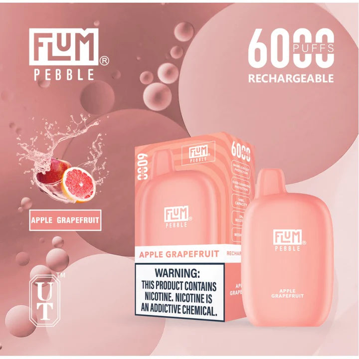 FLUM Pebble Rechargeable Disposable [6000]