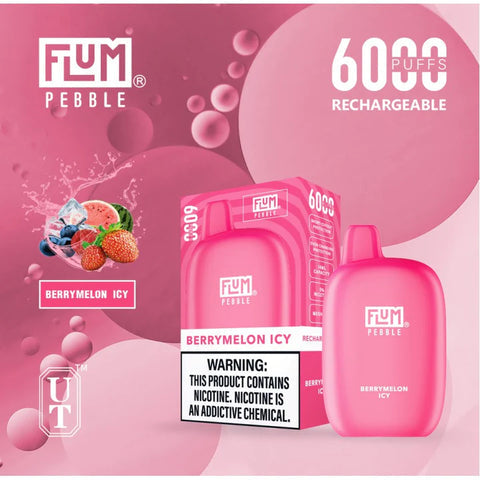 FLUM Pebble Rechargeable Disposable [6000]