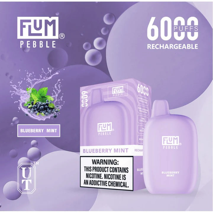 FLUM Pebble Rechargeable Disposable [6000]