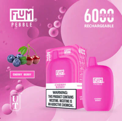 FLUM Pebble Rechargeable Disposable [6000]