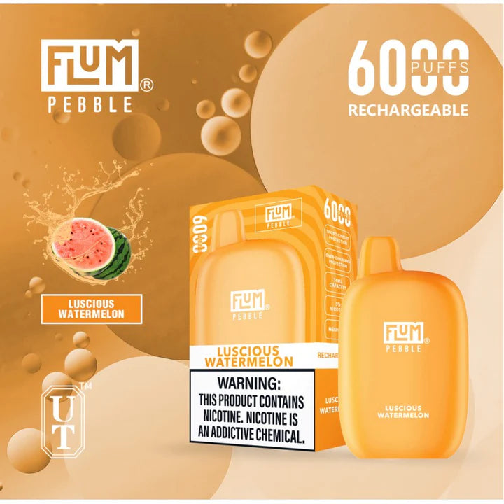 FLUM Pebble Rechargeable Disposable [6000]