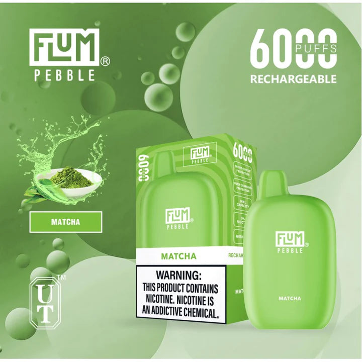 FLUM Pebble Rechargeable Disposable [6000]