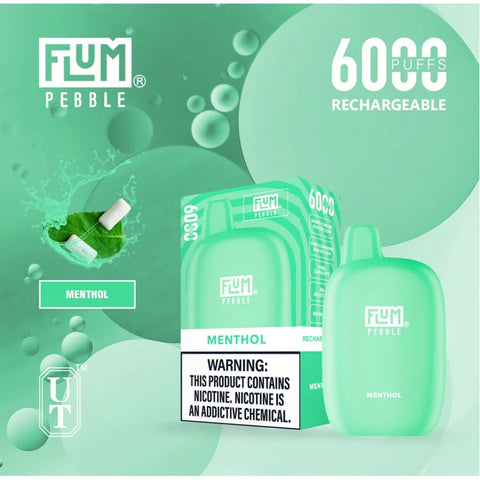 FLUM Pebble Rechargeable Disposable [6000]