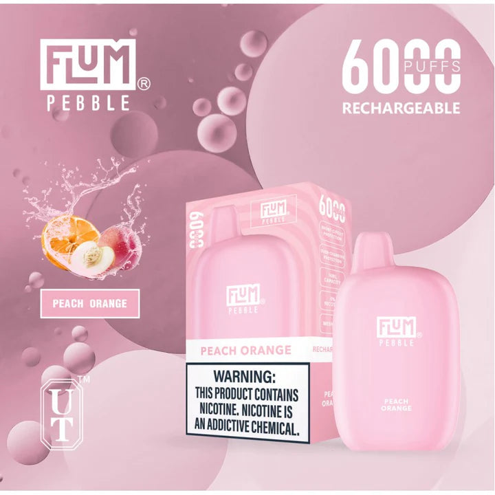 FLUM Pebble Rechargeable Disposable [6000]