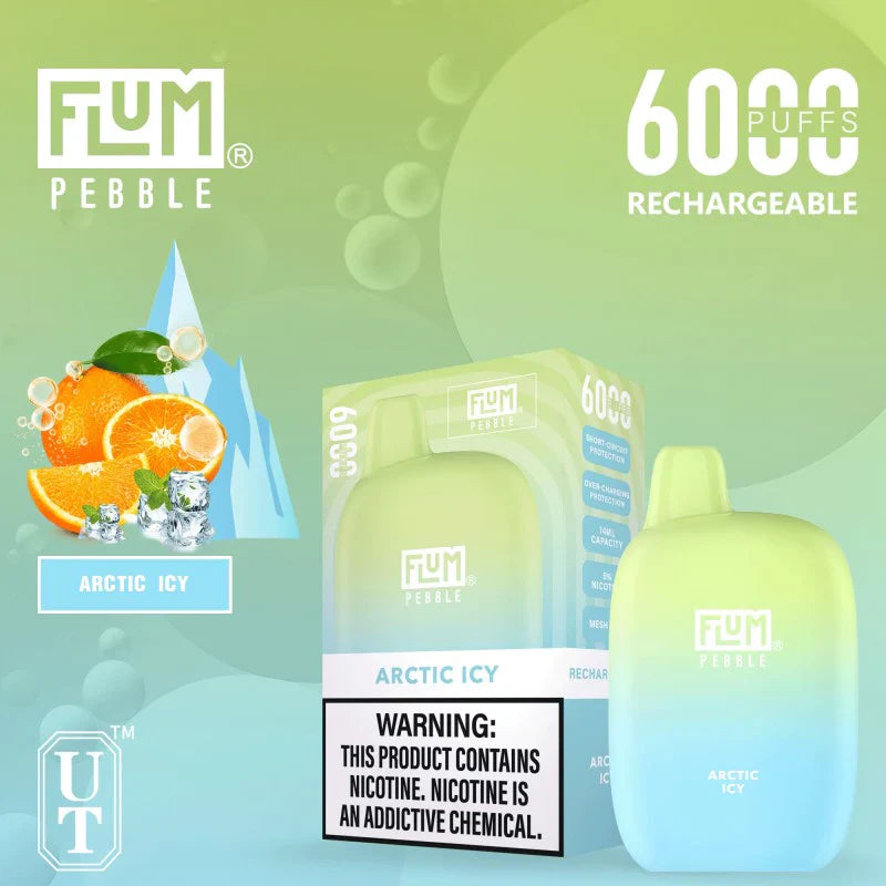 FLUM Pebble Rechargeable Disposable [6000]