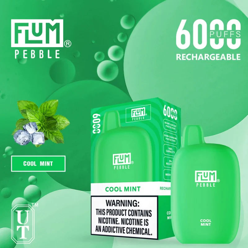 FLUM Pebble Rechargeable Disposable [6000]