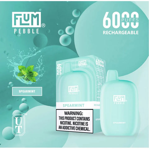 FLUM Pebble Rechargeable Disposable [6000]