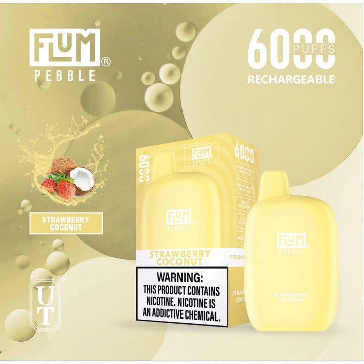 FLUM Pebble Rechargeable Disposable [6000]