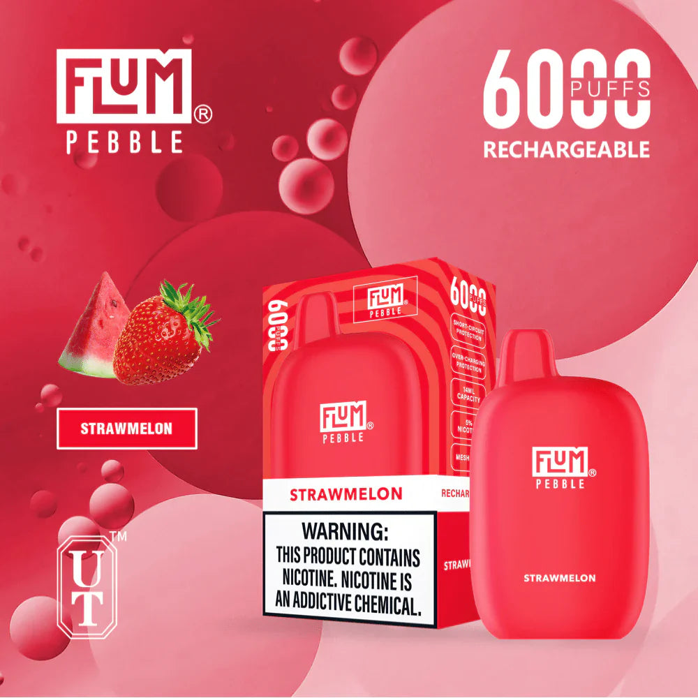 FLUM Pebble Rechargeable Disposable [6000]