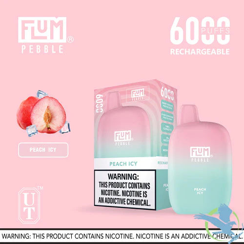 FLUM Pebble Rechargeable Disposable [6000]