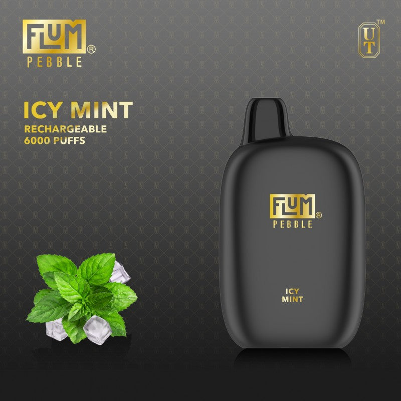 FLUM Pebble Rechargeable Disposable [6000]